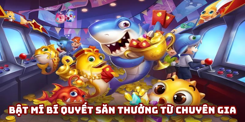 Bật mí bí quyết săn thưởng từ chuyên gia
