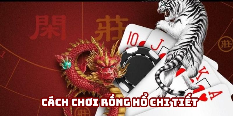 Cách Chơi Rồng Hổ Hiệu Quả Tân Binh Không Nên Bỏ Qua