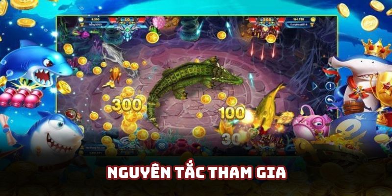 Nguyên tắc tham gia săn cá cơ bản mà hội viên cần chú ý