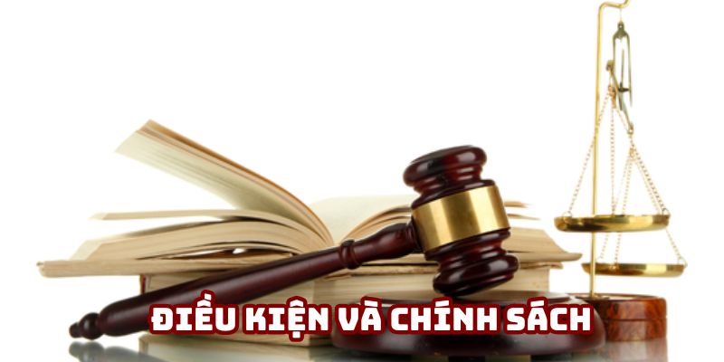 Điều kiện và chính sách